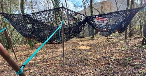 foto repertorio foto repertorio