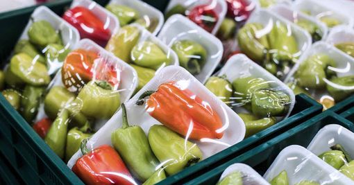 Aumentano le allerte sanitarie dei MOCA. Ma cosa sono? Aumentano le allerte sanitarie dei MOCA. Ma cosa sono?