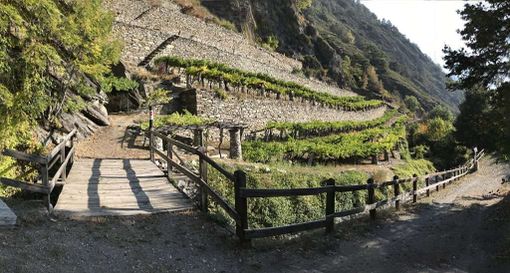 Mondial des Vins Extrêmes 2025: L'orgoglio di un patrimonio ignorato Mondial des Vins Extrêmes 2025: L'orgoglio di un patrimonio ignorato