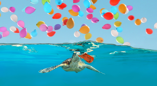 Palloncini nemici dell’ambiente e della sicurezza, soprattutto quella dei bambini Palloncini nemici dell’ambiente e della sicurezza, soprattutto quella dei bambini