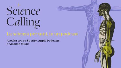Infiammazioni, dalla ricerca alla pelle nel podcast Science Calling Infiammazioni, dalla ricerca alla pelle nel podcast Science Calling