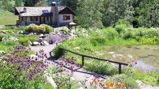 Les 70 ans de Paradisia, le Jardin Botanique du Parc National du Grand Paradis
