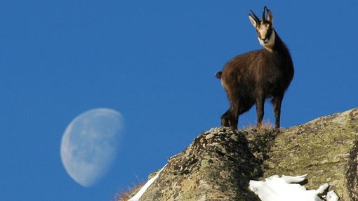 Aperte le iscrizioni per Giroparchi Nature Trail per l’estate 2026