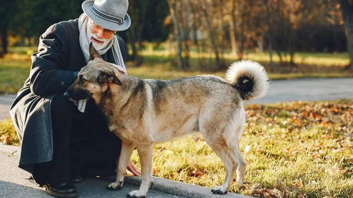 Foto di archivio Foto di archivio