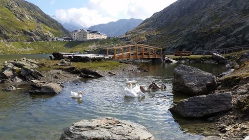 Arrestato dipendente tunnel Gran San Bernardo, avrebbe intascato 24.000 euro provenienti da pedaggi Arrestato dipendente tunnel Gran San Bernardo, avrebbe intascato 24.000 euro provenienti da pedaggi