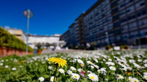 Il Papa al Gemelli, sospesa la ventilazione meccanica Il Papa al Gemelli, sospesa la ventilazione meccanica