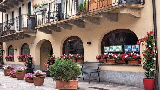 la foto che accompagna la petizione la foto che accompagna la petizione