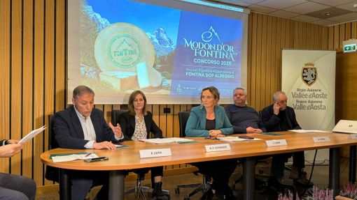 Modon d’Or 2025: La Fontina DOP d’alpeggio protagonista della Valle d’Aosta Modon d’Or 2025: La Fontina DOP d’alpeggio protagonista della Valle d’Aosta