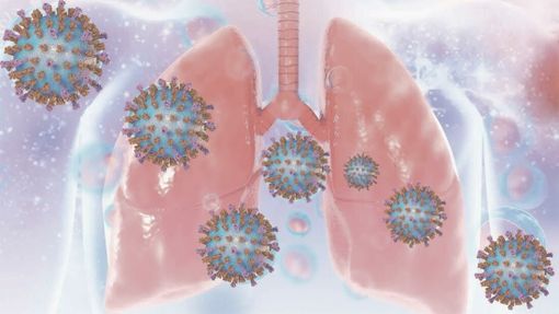 Virus respiratorio sinciziale, copertura neonatale ok ma rischio equità per anziani e fragili