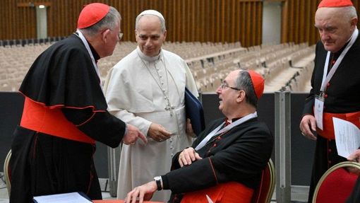 Nuovo Concistoro a giugno, il Papa: ne faremo uno ogni anno