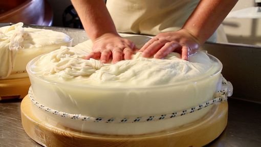 Una fase della lavorazione della Fontina