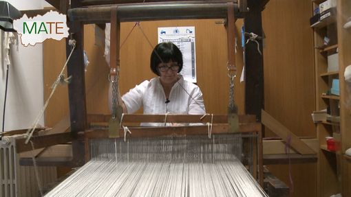 La canapa dimenticata rivive a Champorcher