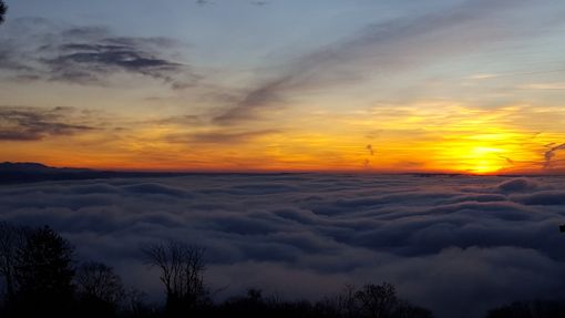 Oltre le apparenze (ph. Mauro Carlesso).jpg