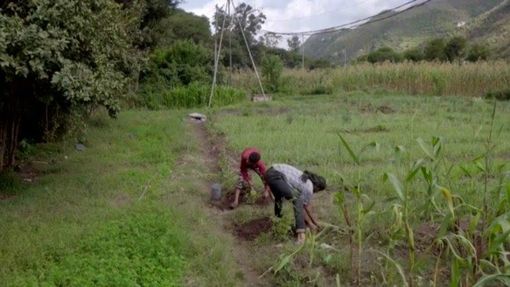 Valais réclame une assurance récolte agricole Valais réclame une assurance récolte agricole