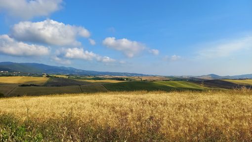 ph. Mauro Carlesso ph. Mauro Carlesso