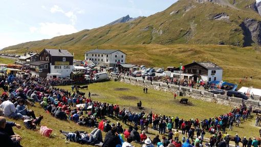 Spostata da La Thuile a Doues la Bataille post-ferragosto, annullata la Fete des Bergers Spostata da La Thuile a Doues la Bataille post-ferragosto, annullata la Fete des Bergers