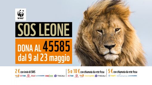 FACCIAMO TUTTI LA PARTE DEL LEONE: DAL 9 AL 23 MAGGIO DONA AL 45585 E AIUTERAI IL WWF A RADDOPPIARE IL NUMERO DI LEONI ENTRO IL 2050 FACCIAMO TUTTI LA PARTE DEL LEONE: DAL 9 AL 23 MAGGIO DONA AL 45585 E AIUTERAI IL WWF A RADDOPPIARE IL NUMERO DI LEONI ENTRO IL 2050