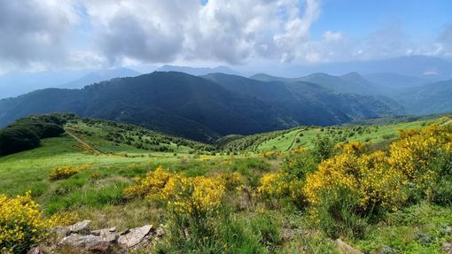 Sul Monte Spalavera (ph. M. Carlesso)
