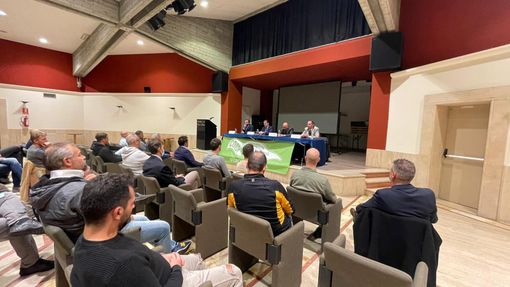 Sindacato polizia Coisp, 'allarme green pass, estendere validità tampone a tre giorni' Sindacato polizia Coisp, 'allarme green pass, estendere validità tampone a tre giorni'