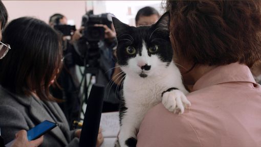 La valdostana Alessandria Celesia protagonista agli 'États généraux du film documentaire' La valdostana Alessandria Celesia protagonista agli 'États généraux du film documentaire'