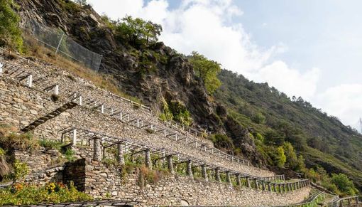 Vino valdostano: storia di fatica e di successo