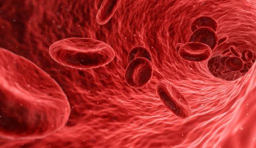 Per la prima volta trovate microplastiche nel sangue Per la prima volta trovate microplastiche nel sangue