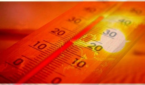 Caldo record, triplicano gli svenimenti tra gli anziani: l'Usl lancia l'allarme Caldo record, triplicano gli svenimenti tra gli anziani: l'Usl lancia l'allarme