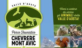 TURISMO: Nel Parco Faunistico Chevrere MontAvic a portata d’occhio gli animali che abitano i boschi valdostani