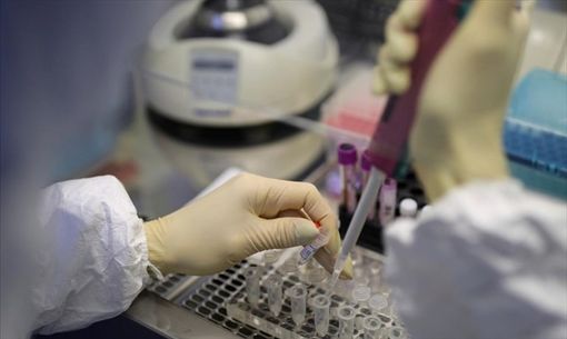 Genomics Day 2021: I giovani ricercatori valdostani si raccontano al pubblico Genomics Day 2021: I giovani ricercatori valdostani si raccontano al pubblico