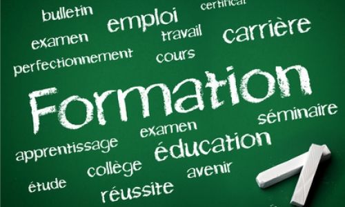 Francophonie: deux résolutions approuvées par Comité mixte Francophonie: deux résolutions approuvées par Comité mixte