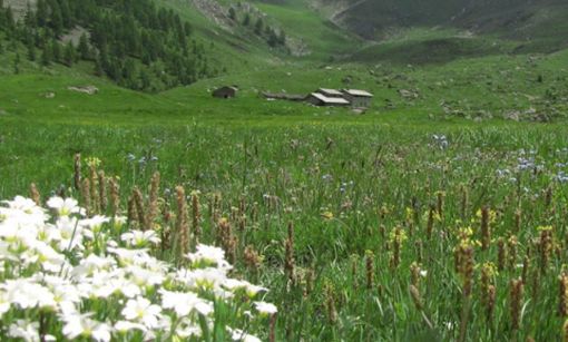 Un investimento per natura e comunità: il contributo al Comune di Rhêmes-Notre-Dame