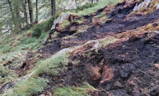 Incendio boschivo tra Challand-Saint-Victor e Challand-Saint-Anselme: spento il rogo, resta alta l'allerta in Valle d'Aosta