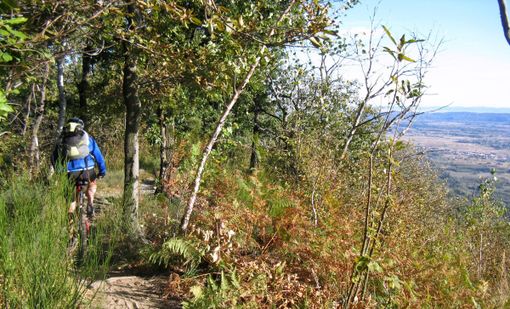 IVREA CERCA GESTORE NOLEGGIO E-BIKE