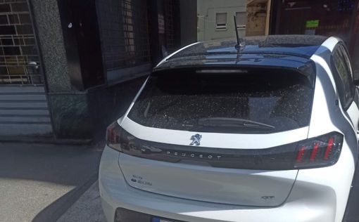 La Peugeot ferma sul punto dell'investimento