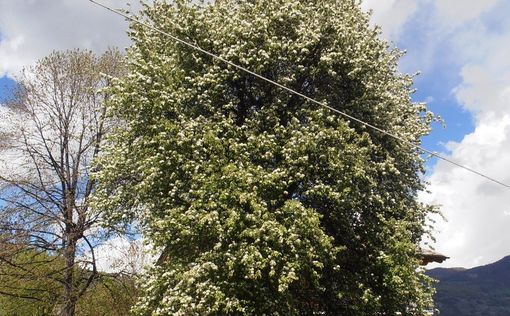 Una buona notizia non ne cancella una brutta, ma almeno offre una speranza di cambiamento