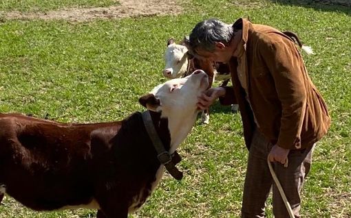 La Valle D’Aosta lungo la Dora Baltea tra arte, cultura e bellezza La Valle D’Aosta lungo la Dora Baltea tra arte, cultura e bellezza