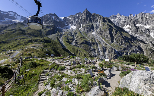 Monte Bianco, riapre il Giardino Botanico Saussurea