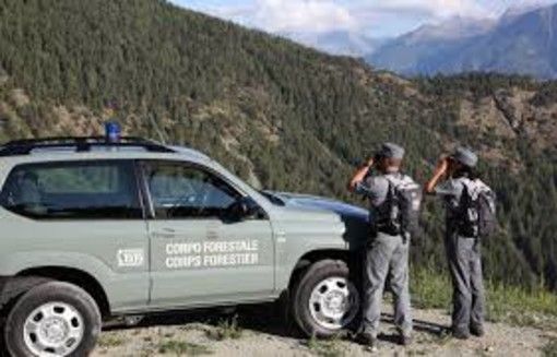 Progetto di M5S per equiparare pensioni forestali regioni autonome