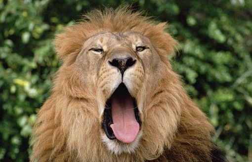 Uv batte timidamente un colpo per formare la maggioranza regionale