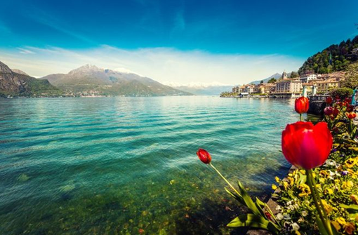 LA VERITA’ E LA FORTUNA DELLE PAROLE