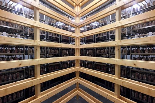 La nuova struttura di stagionatura del prosciutto La nuova struttura di stagionatura del prosciutto