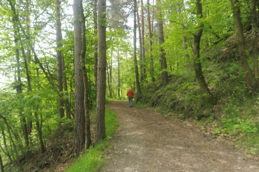 Sentiero d'accesso via normale al Bec Dauphin