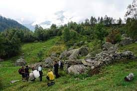 Apre il bando per la concessione di contributi alle imprese agricole e forestali per l’esecuzione di interventi su superfici forestali degradate in disponibilità