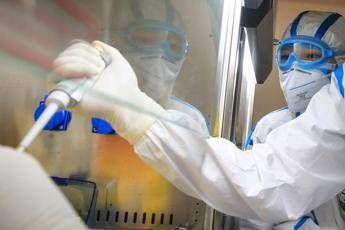 Ricerca, Aiom: "In Italia -57% studi indipendenti in 15 anni" Ricerca, Aiom: "In Italia -57% studi indipendenti in 15 anni"