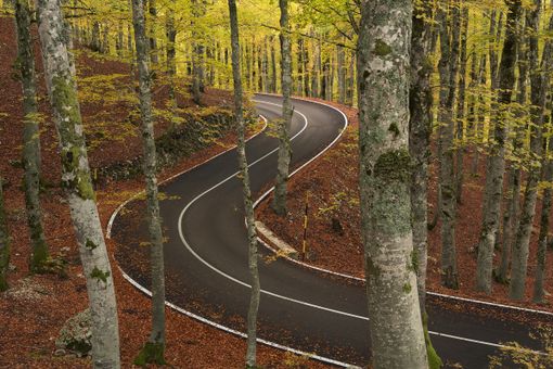 Foto di Alessandro Currò Foto di Alessandro Currò