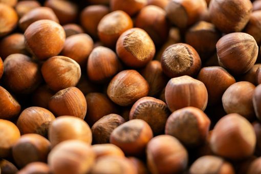 Fiera della Nocciola di Cortemilia