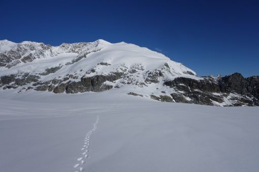 Foto Repertorio Foto Repertorio