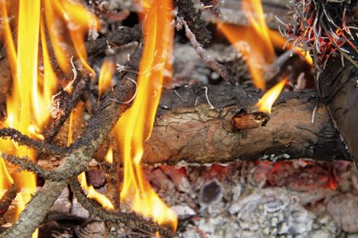 Vietati gli abbruciamenti da attività agricole