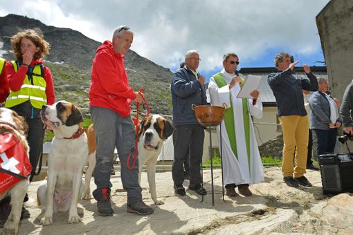 Un nuovo canile al colle per i San Bernardo