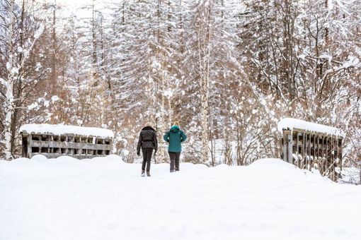 L'ESCURSIONE DELLA SETTIMANA: Courmayeur a passo slow: tre nuovi itinerari e tante proposte per le famiglie L'ESCURSIONE DELLA SETTIMANA: Courmayeur a passo slow: tre nuovi itinerari e tante proposte per le famiglie